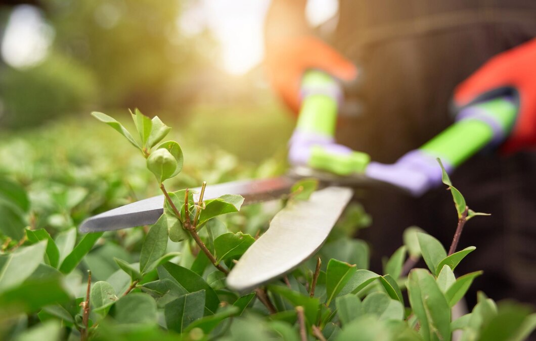 O Guia Completo para a Escolha de Ferramentas de Jardinagem de Alta Qualidade